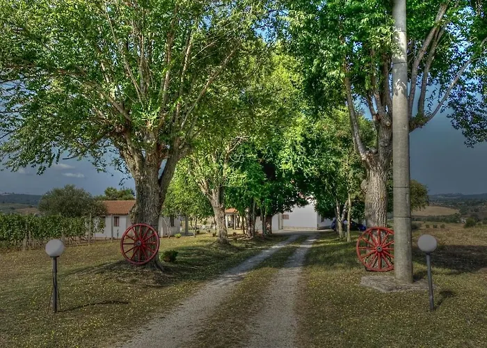 Uliveto Gretacci בית חווה *