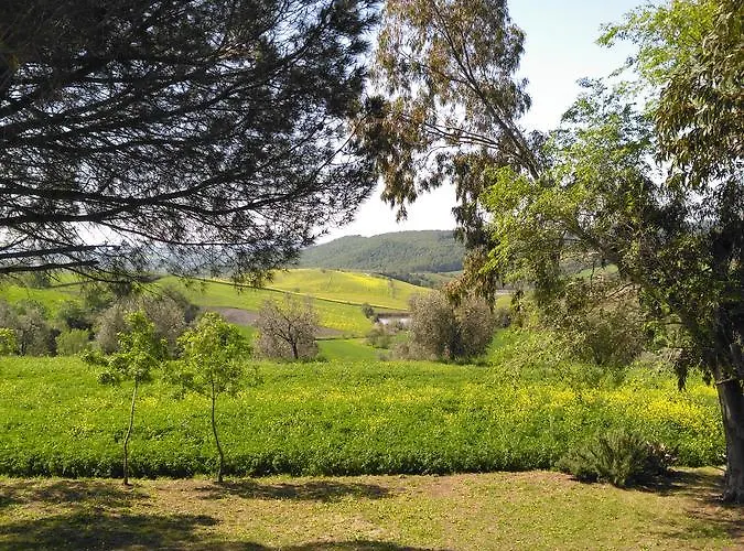 Uliveto Gretacci בית חווה