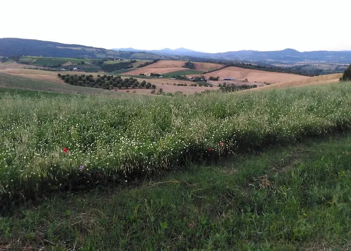 Uliveto Gretacci