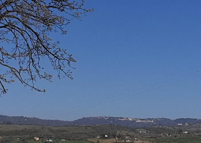 Uliveto Gretacci * מונטמראנו